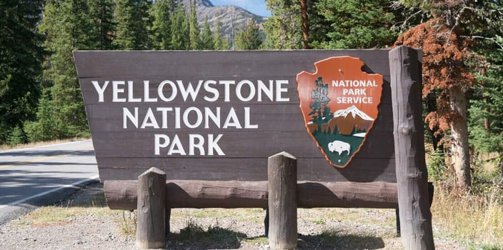 yellowstone national park