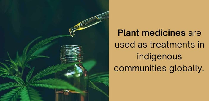 plant medicines are used as treatments in indigenous communities globally