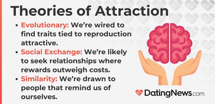 Evolutionary: We're wired to find traits tied to reproduction attractive. Social Exchange: We're likely to seek relationships where rewards outweigh costs. Similarity: We're drawn to people that remind us of ourselves. Evolutionary: We're wired to find traits tied to reproduction attractive. Social Exchange: We're likely to seek relationships where rewards outweigh costs. Similarity: We're drawn to people that remind us of ourselves.