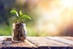 Cerca Secures $1.5M Seed Round for Mutuals-Based Dating App