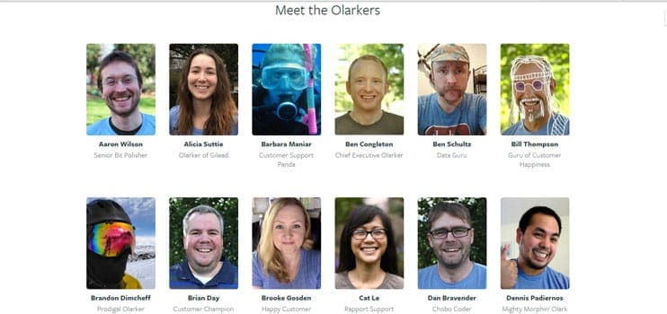 A picture of Olarkers