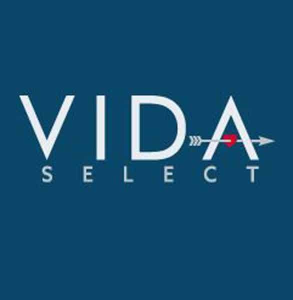 The VIDA logo The VIDA logo