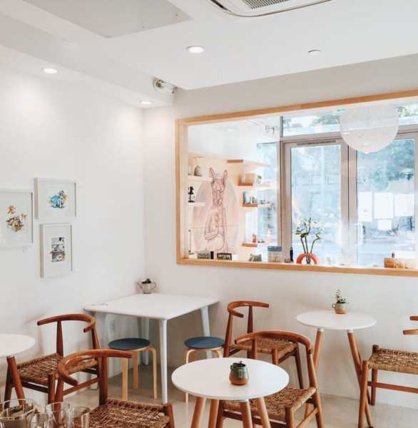 Photo of KitTea Cat Café Photo of KitTea Cat Café