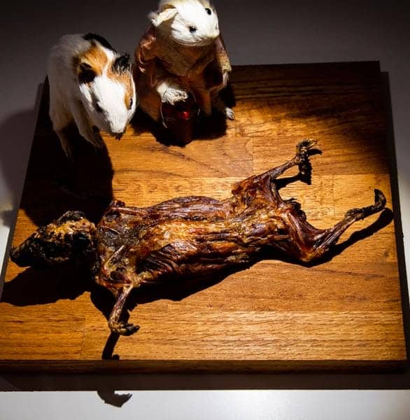 Photo of a roasted guinea pig Photo of a roasted guinea pig