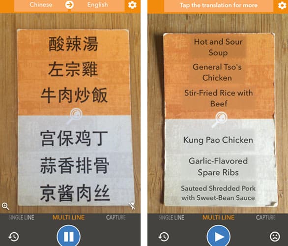 Screenshot of a Waygo translation Screenshot of a Waygo translation