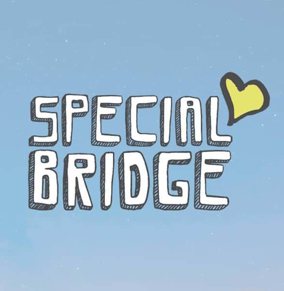 The Special Bridge logo The Special Bridge logo