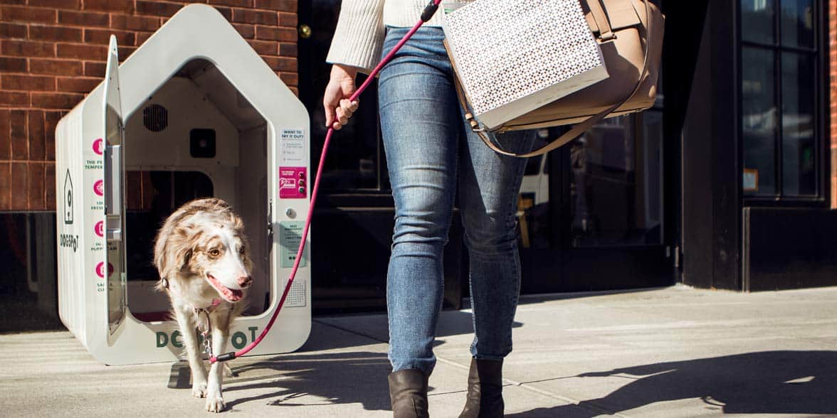 Photo of someone picking up their dog from a DogSpot Photo of someone picking up their dog from a DogSpot