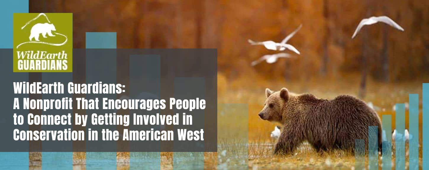 WildEarth Guardians: A Nonprofit That Encourages People to Connect by Getting Involved in Conservation in the American West WildEarth Guardians: A Nonprofit That Encourages People to Connect by Getting Involved in Conservation in the American West