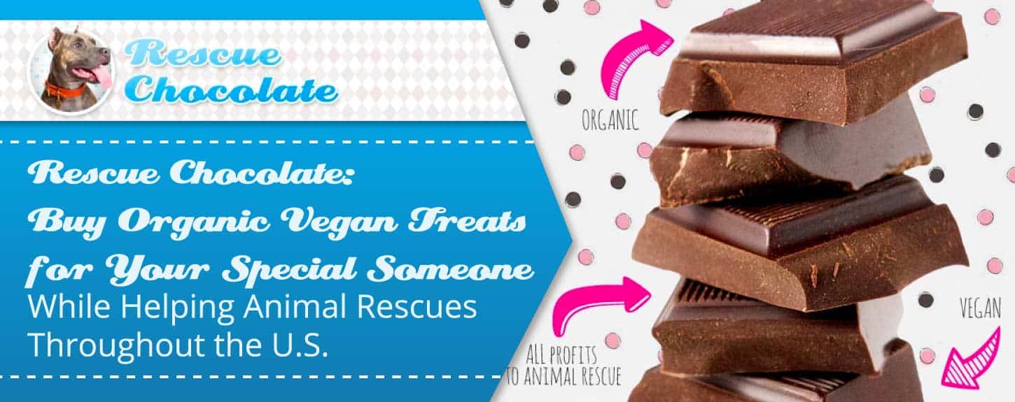 Rescue Chocolate: Buy Organic Vegan Treats for Your Special Someone While Helping Animal Rescues Throughout the U.S. Rescue Chocolate: Buy Organic Vegan Treats for Your Special Someone While Helping Animal Rescues Throughout the U.S.
