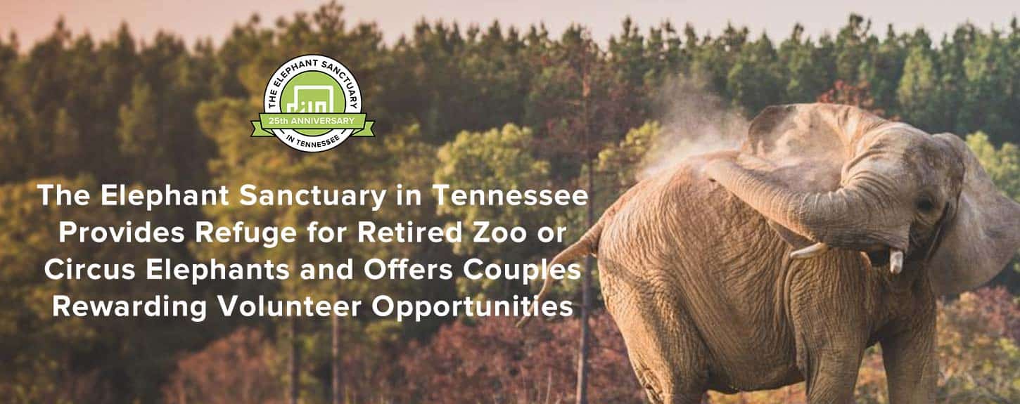 Elephant Sanctuary In Tennessee 2025 Season Emlyn
